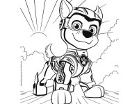 trefl 43007 puzzle 2 în 1+ carte de colorat "paw patrol, skye and marshall" (2x10 el.)