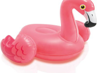 intex 58590np Надувные игрушки для купания (в асс.)