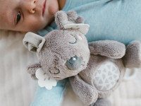 babyono-850 Игрушка музыкальная "Коала Коко" 1632