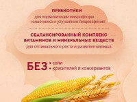 Винни Каша безмолочная 7 злаков с пребиотиками (6м +) 200 гр.