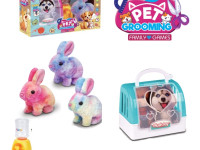 op 202113626 animal de companie într-o cușcă de transport iepuraș" (în sort.)
