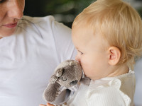 babyono-852 Погремушка "Коала Коко" 1634 