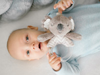 babyono-852 Погремушка "Коала Коко" 1634 