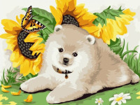strateg leo sv-0043 pictură pe numere "câine cu floarea soarelui" (30x40 cm.)