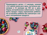 ФрутоНяня suc de merișoare, afine și cireșe (5+ ani) 200 ml.