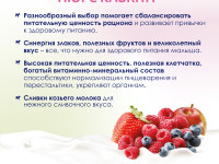 kabrita Пюре с козьими сливками "Лесные ягоды-яблоко" (6 м+) 100 гр.