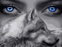 strateg leo va-3173 Картина по номерам "Глаза волка" (40x50 см.)