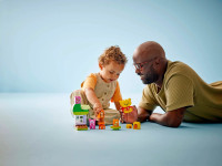 lego duplo 10457 constructor "ziua de naștere a lui winnie the pooh" (22 el.)