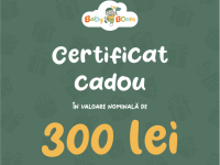 Подарочный сертификат 300