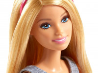 barbie fpr48 Кукла Барби "Уход за животными"